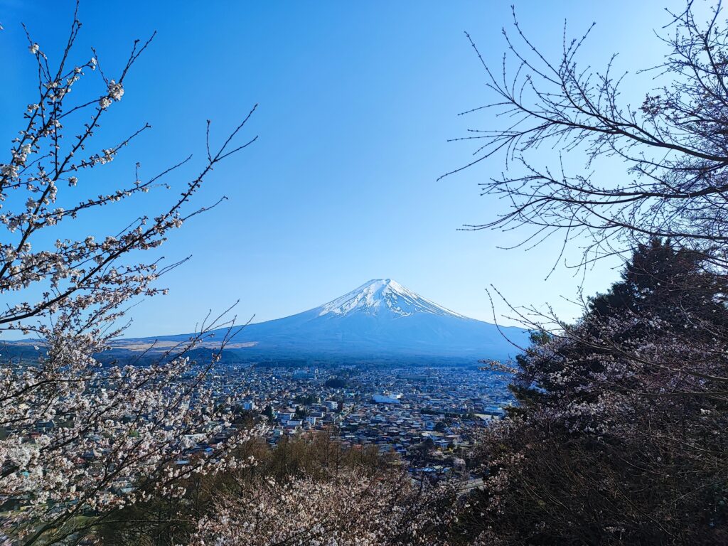 mt fuji view from chureito