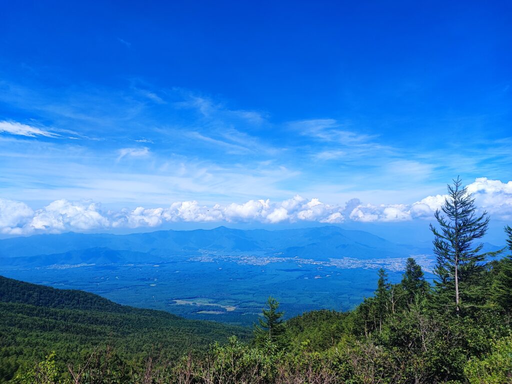 Forest trail leading up to Mt. Fuji’s 5th Station, a historic pilgrimage route