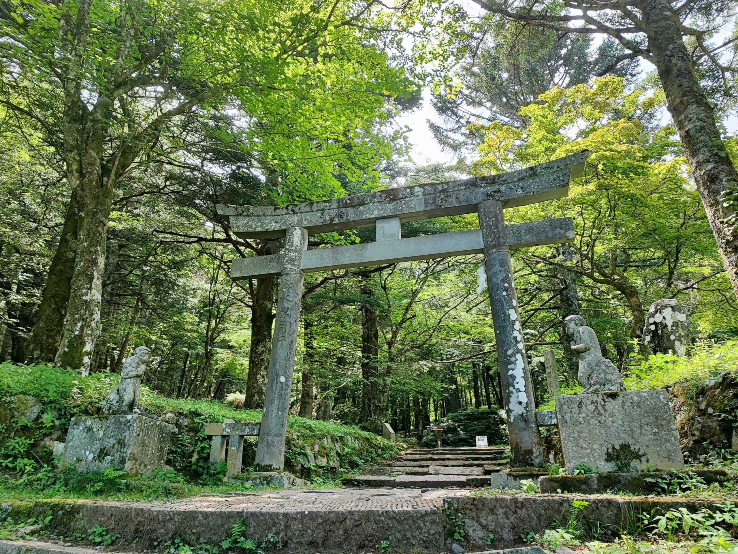 Forest trail leading up to Mt. Fuji’s 5th Station, a historic pilgrimage route
