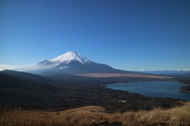 Panoramic view of Mt. Fuji and Lake Yamanaka with golden pampas grass