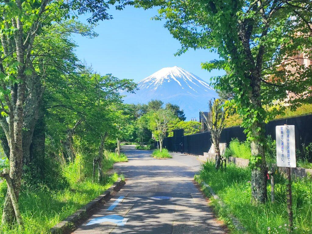 greenery and mt.fuji, walking pathway, private tour kawaguchiko