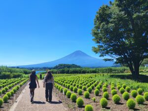 Kawaguchiko Oishi Park with a stunning view of Mount Fuji