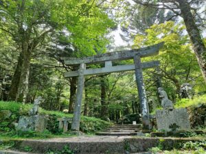 Forest trail leading up to Mt. Fuji’s 5th Station, a historic pilgrimage route