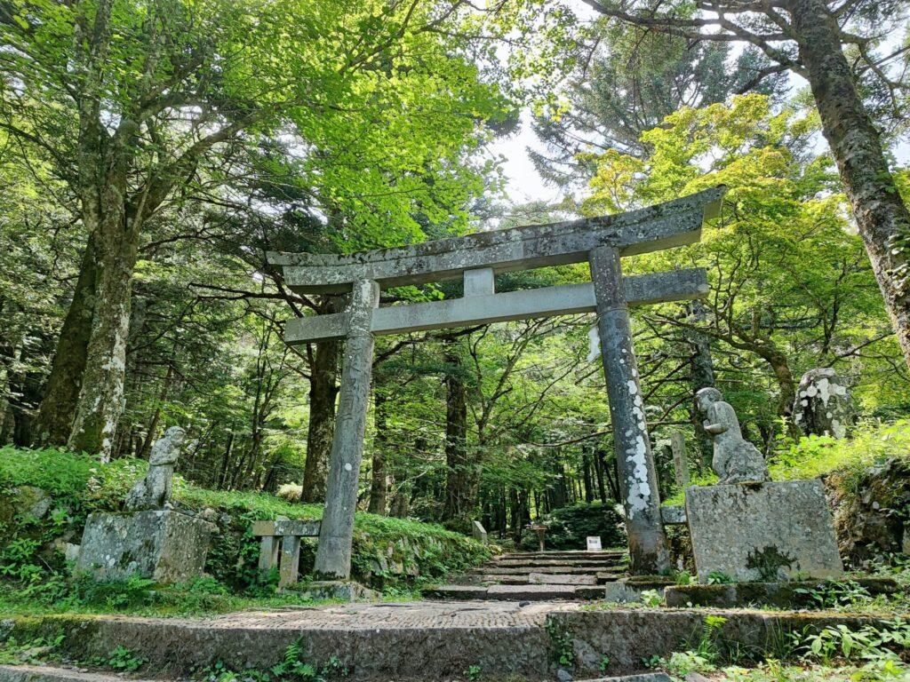 Forest trail leading up to Mt. Fuji’s 5th Station, a historic pilgrimage route
