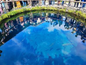 oshino hakkai crystal clear pond, the water comes from Mt.Fuji