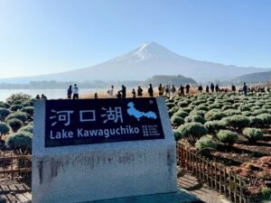 lake kawaguchiko at oishi park