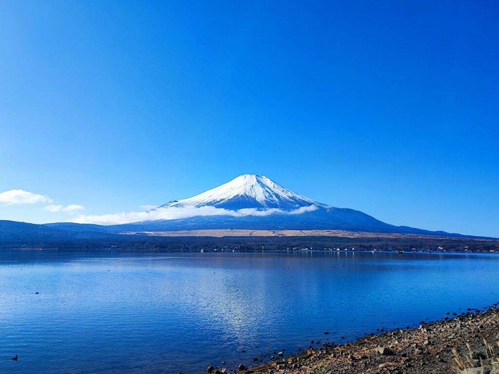 Mt. Fuji reflection with white swans at Lake Yamanaka Shinsui Park