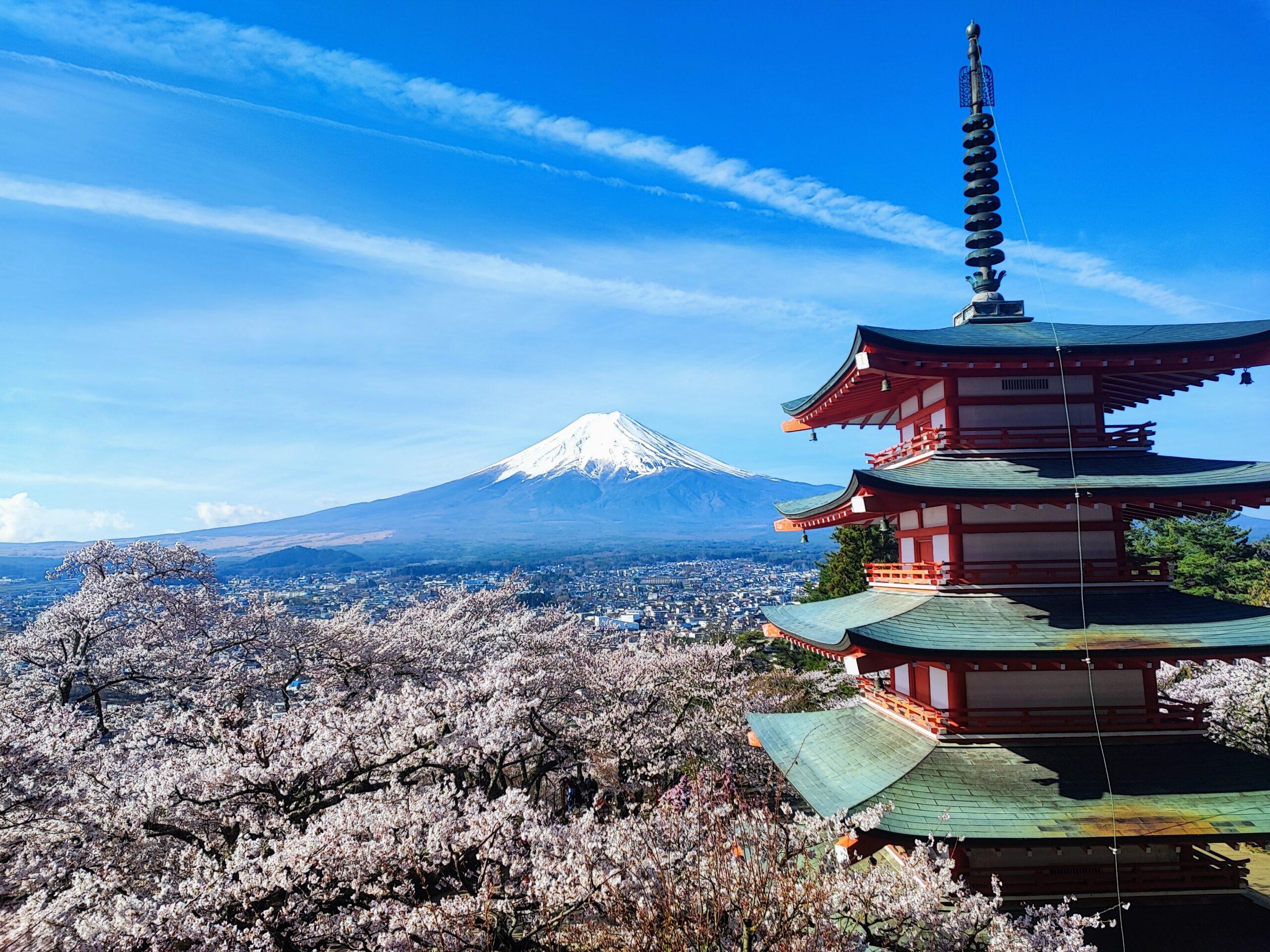 arakurayama sengen park chureito pagoda sakura season cherry blossom