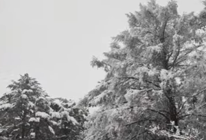 march snow kawaguchiko fujiyoshida