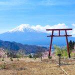 tenku no torii kawaguchiko daichi private tour koko journey
