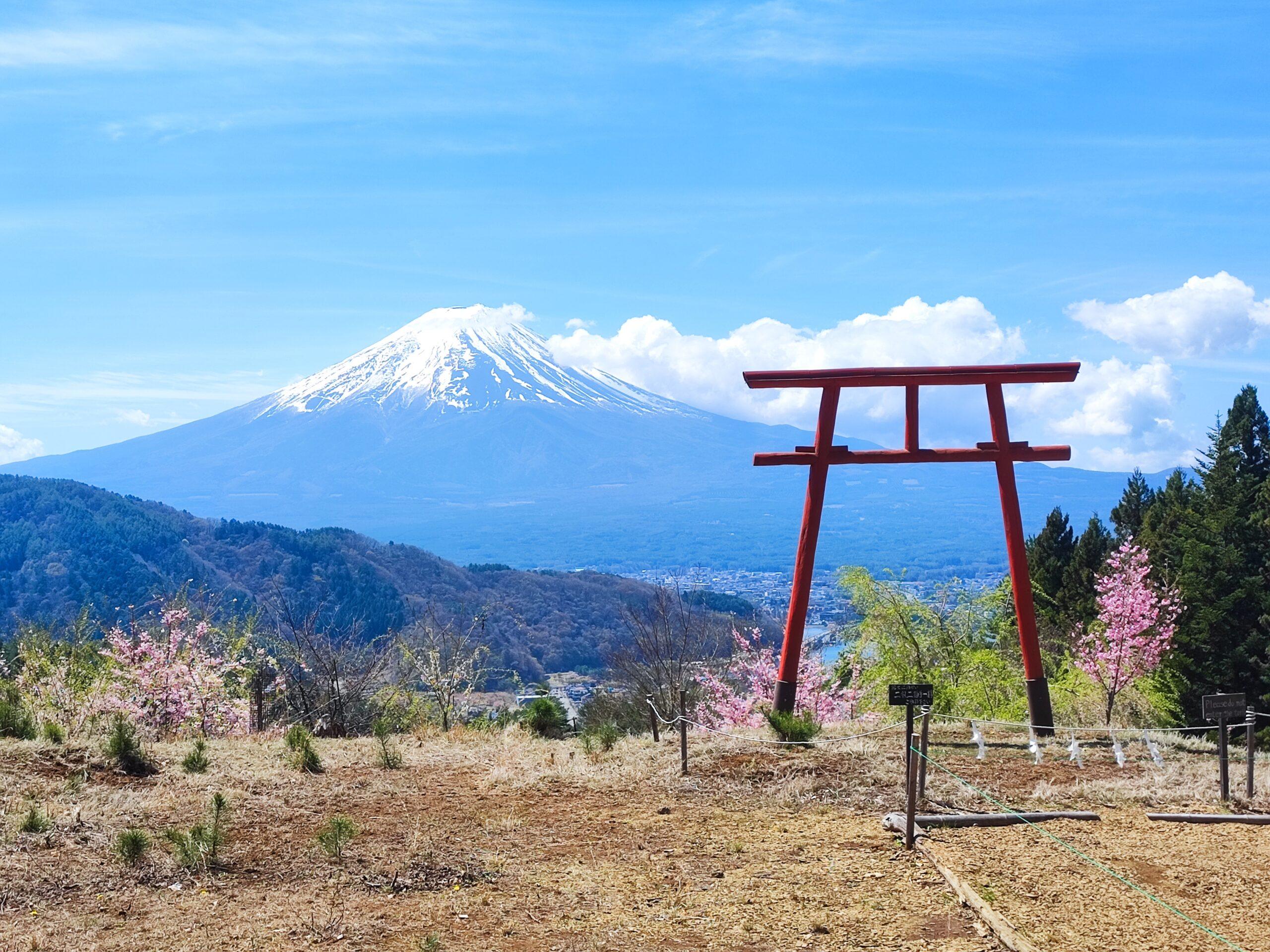 tenku no torii kawaguchiko daichi private tour koko journey