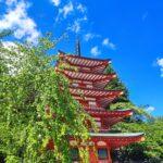 greenery and chureito pagoda in may, private tour in fujiyoshida